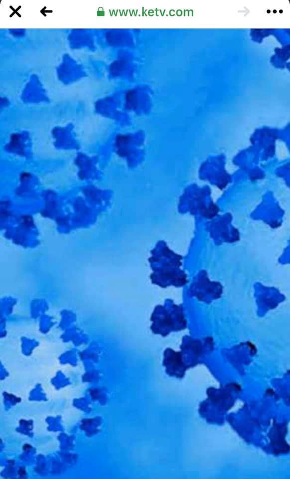 COVID-19 virus reference